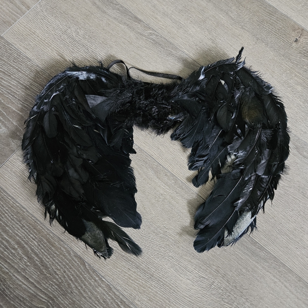 Source Unknown Black Feathered Wings